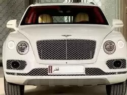 مستعملة Bentley Bentley Zagato GTZ للبيع في الدوحة #13079 - 1  صورة 